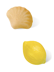 Concha - Limón